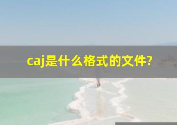 caj是什么格式的文件?