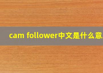 cam follower中文是什么意思