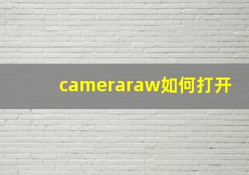 cameraraw如何打开(