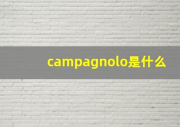 campagnolo是什么