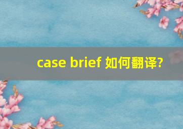 case brief 如何翻译?