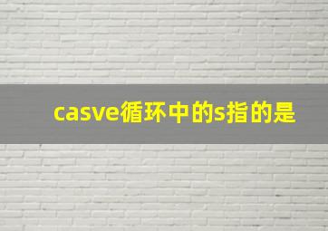 casve循环中的s指的是