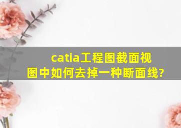 catia工程图截面视图中如何去掉一种断面线?