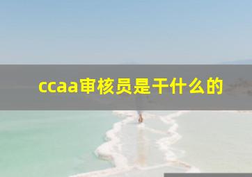 ccaa审核员是干什么的