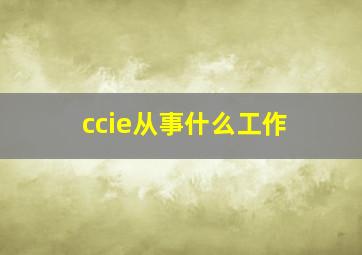 ccie从事什么工作