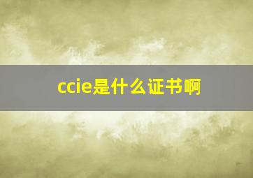 ccie是什么证书啊