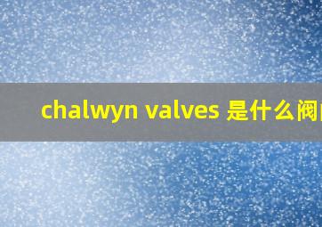 chalwyn valves 是什么阀门
