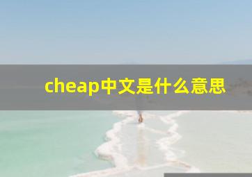 cheap中文是什么意思