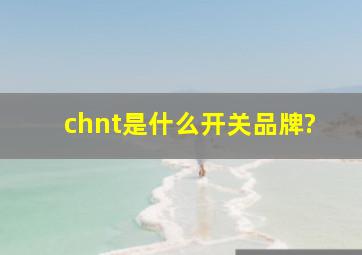 chnt是什么开关品牌?