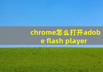 chrome怎么打开adobe flash player