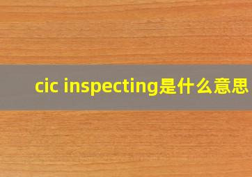 cic inspecting是什么意思