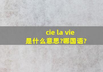 cie la vie 是什么意思?哪国语?