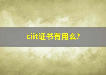 ciit证书有用么?