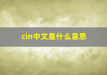 cin中文是什么意思