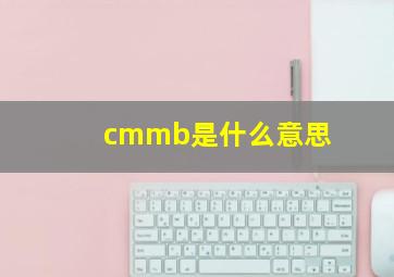 cmmb是什么意思