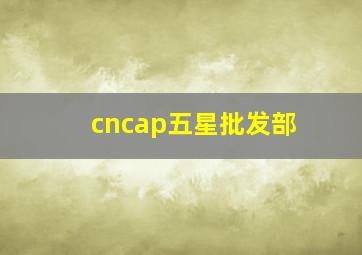 cncap五星批发部