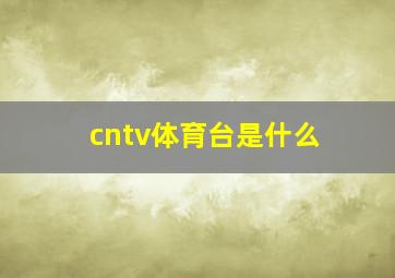 cntv体育台是什么