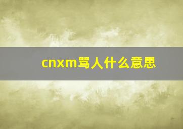 cnxm骂人什么意思