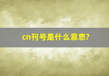 cn刊号是什么意思?