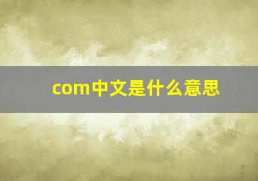 com中文是什么意思