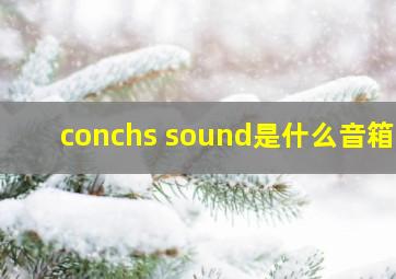 conchs sound是什么音箱?