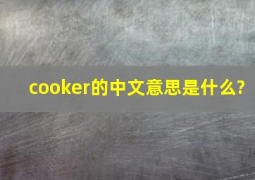 cooker的中文意思是什么?