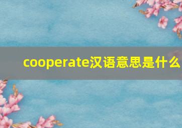 cooperate汉语意思是什么