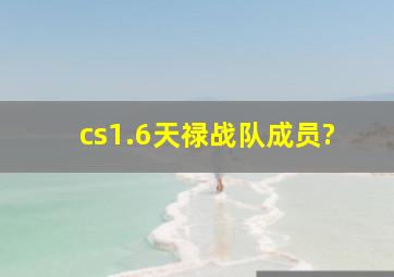 cs1.6天禄战队成员?