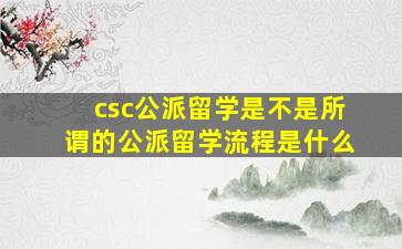 csc公派留学是不是所谓的公派留学流程是什么