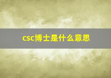 csc博士是什么意思