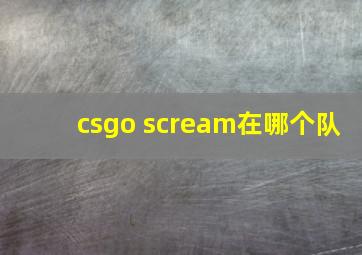 csgo scream在哪个队