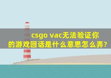 csgo vac无法验证你的游戏回话是什么意思,怎么弄?