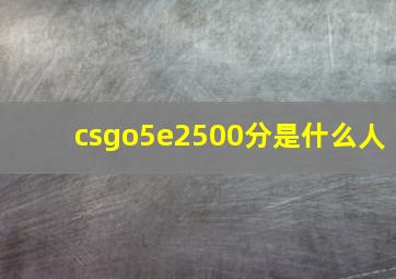 csgo5e2500分是什么人