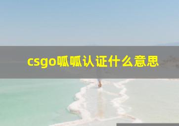 csgo呱呱认证什么意思