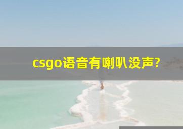 csgo语音有喇叭没声?