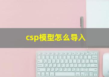 csp模型怎么导入(