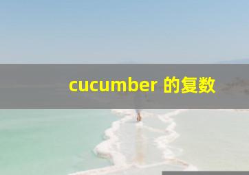 cucumber 的复数