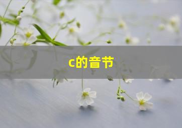 c的音节