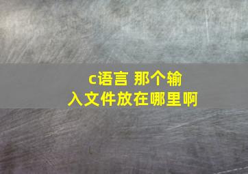 c语言 那个输入文件放在哪里啊