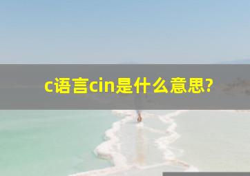 c语言cin是什么意思?