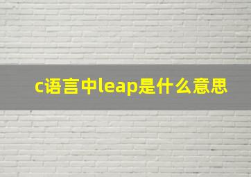 c语言中leap是什么意思(