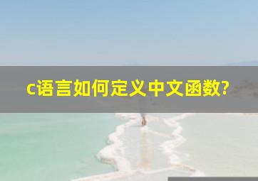 c语言如何定义中文函数?