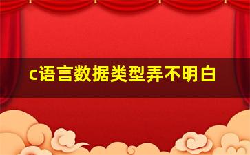 c语言数据类型弄不明白