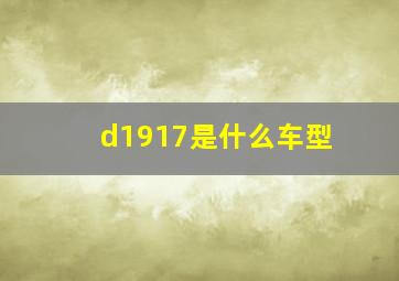 d1917是什么车型