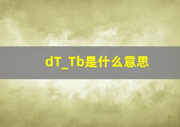 dT_Tb是什么意思