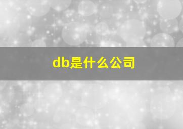 db是什么公司