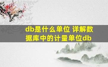 db是什么单位 详解数据库中的计量单位db 