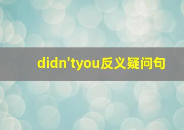 didn'tyou反义疑问句