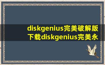 diskgenius完美破解版下载diskgenius完美永久破解版...