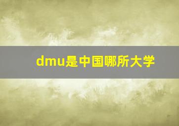 dmu是中国哪所大学